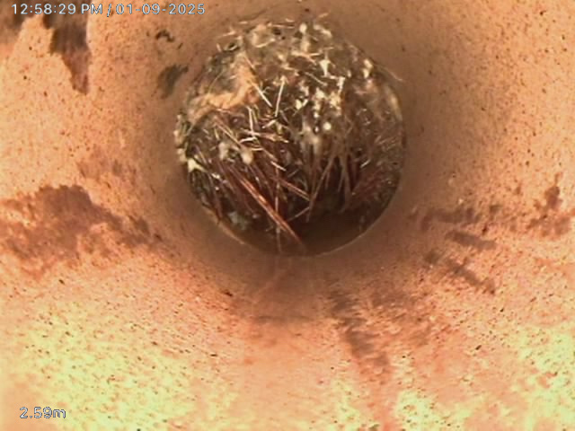 CCTV drain camera image showing tree root blockage inside a drain pipe in South Auckland at 2.59m