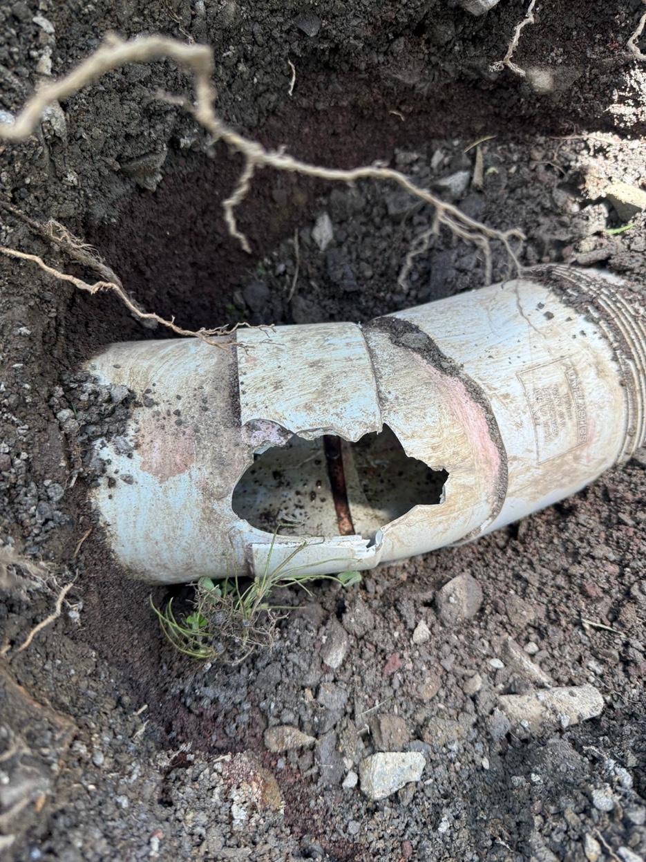 Broken and cracked drain pipe excavated from underground showing root damage and a large hole in the pipe wall